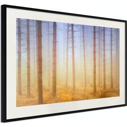 Arkiio Affisch Foggy Forest [Poster] 60x40 Poster